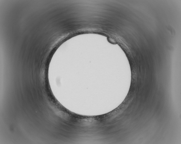 X0000110980112200907310957