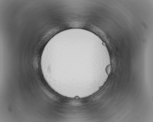 X0000110980114200907310957