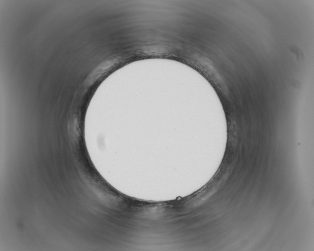 X0000110980116200907310957