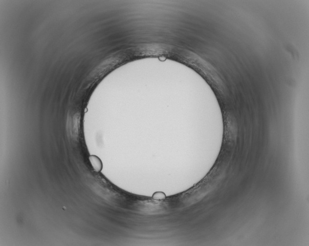 X0000110980118200907310957