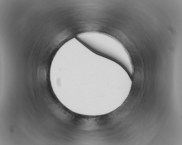 X0000110980120200907310957