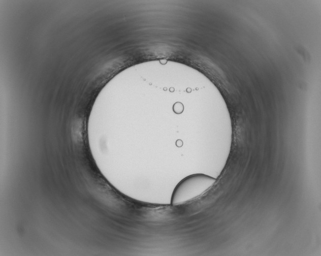 X0000110980122200907310957