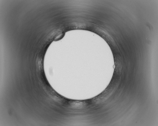 X0000110980123200907310957