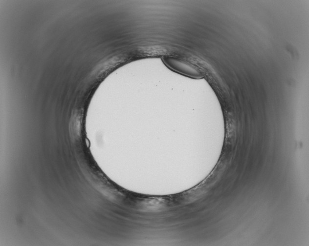 X0000110980124200907310957