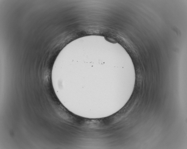 X0000110980125200907310957