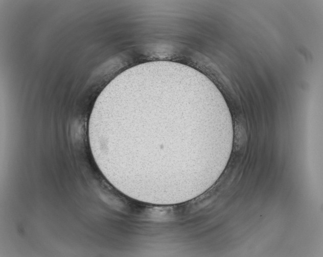 X0000110980126200907310957