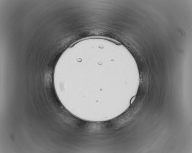 X0000110980127200907310957