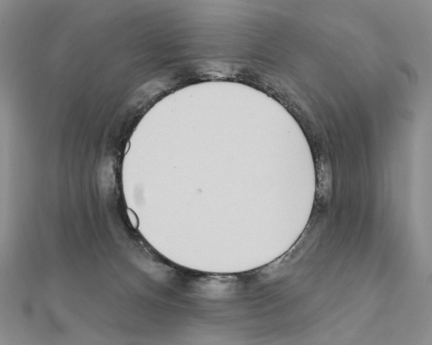 X0000110980128200907310957