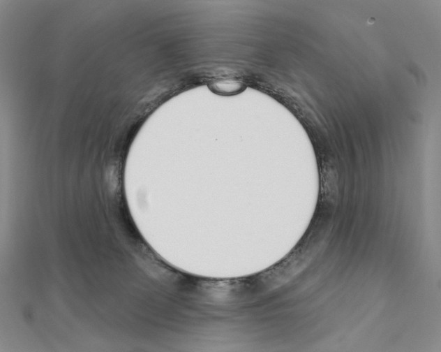 X0000110980131200907310957