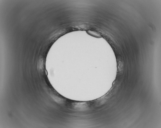 X0000110980132200907310957