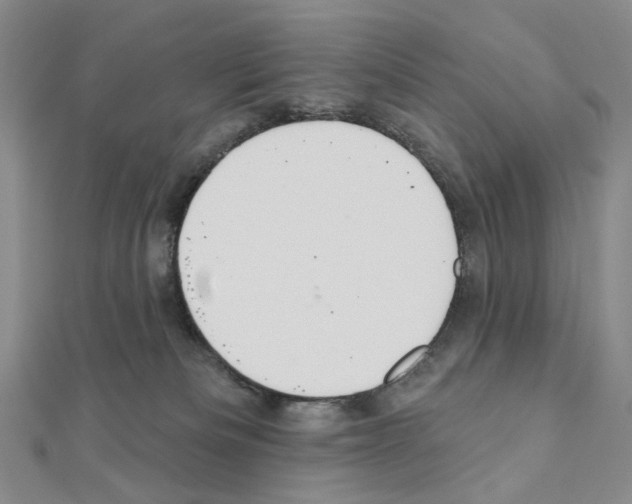 X0000110980133200907310957