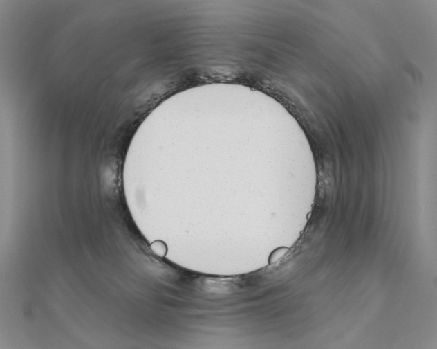 X0000110980134200907310957
