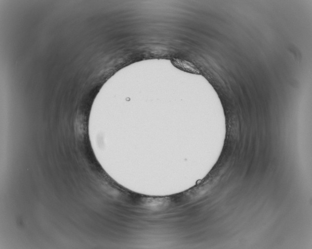 X0000110980135200907310957