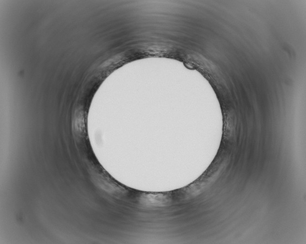 X0000110980137200907310957