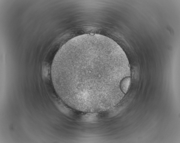 X0000110980138200907310957