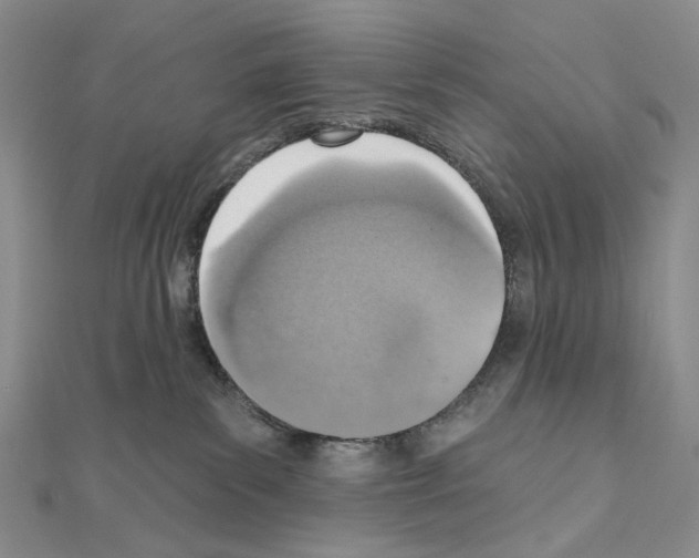 X0000110980139200907310957