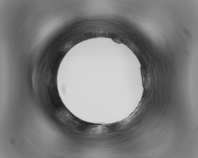 X0000110980140200907310957