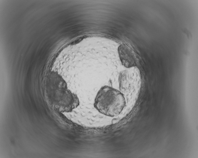 X0000110980145200907310956