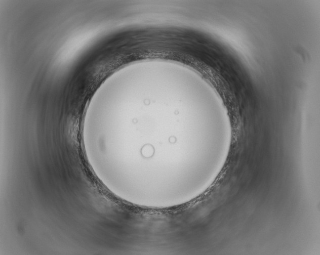 X0000110980146200907310956