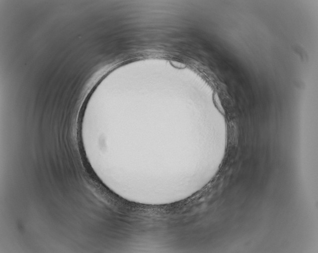 X0000110980147200907310956