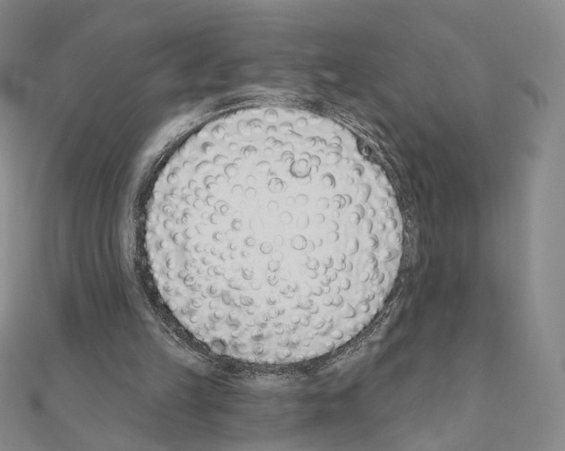 X0000110980149200907310956