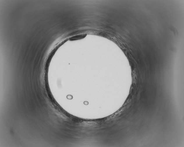 X0000110980150200907310956