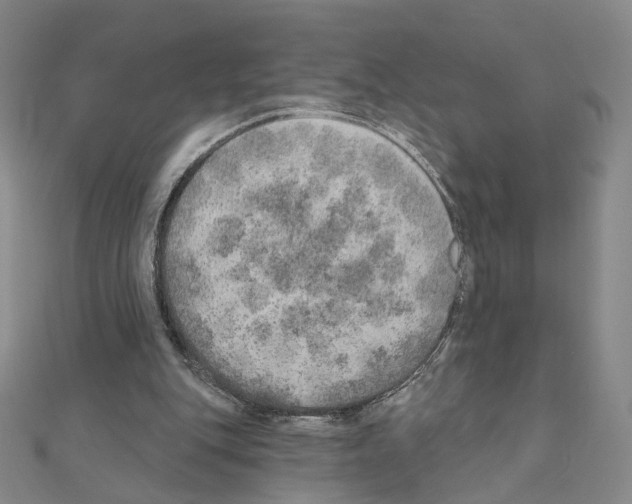 X0000110980151200907310956
