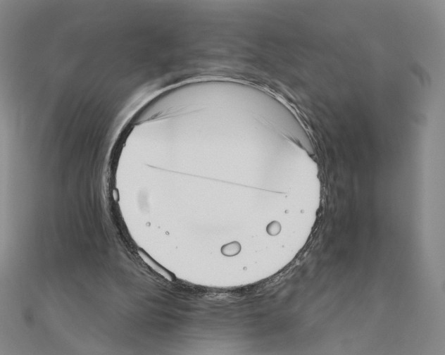 X0000110980152200907310956