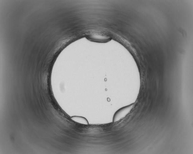 X0000110980154200907310956