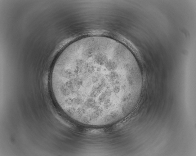 X0000110980155200907310956