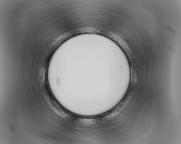 X0000110980157200907310956