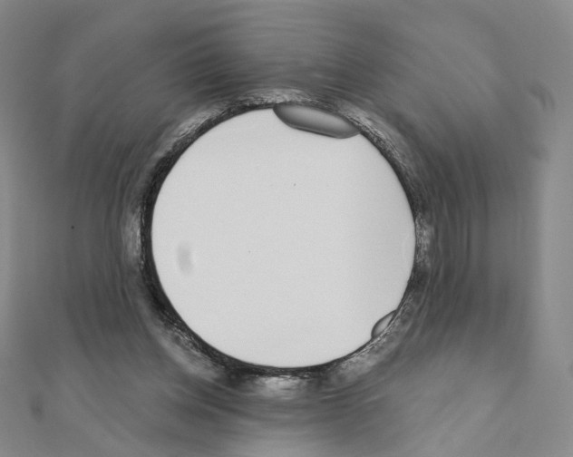 X0000110980158200907310956