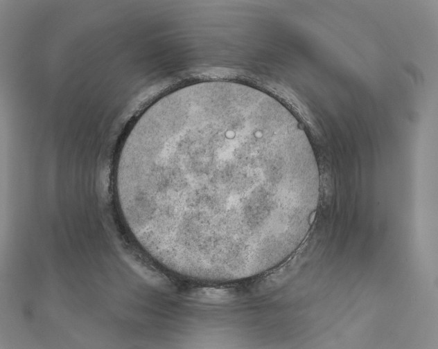X0000110980159200907310956