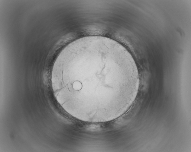 X0000110980162200907310956