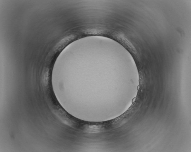X0000110980163200907310956