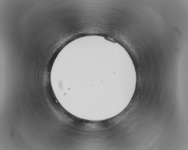 X0000110980164200907310956