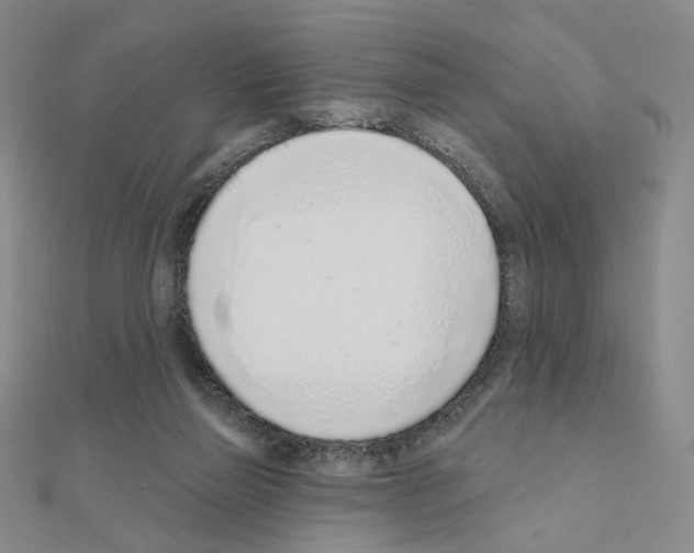 X0000110980165200907310956