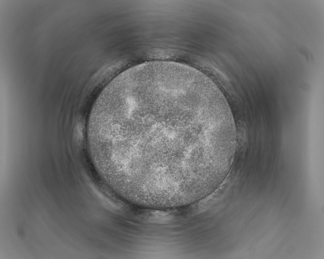X0000110980166200907310956