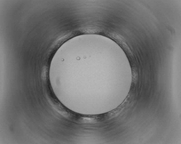X0000110980167200907310956
