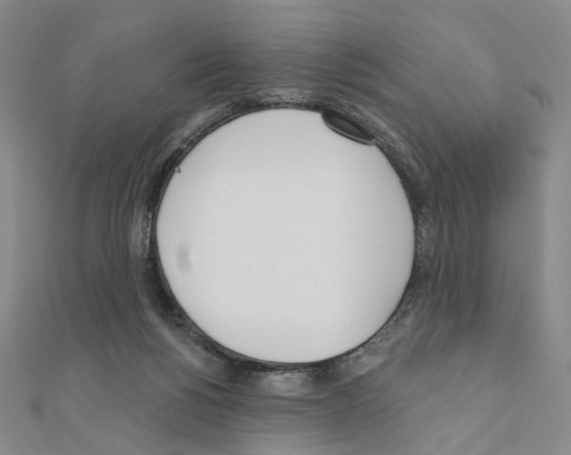 X0000110980168200907310956