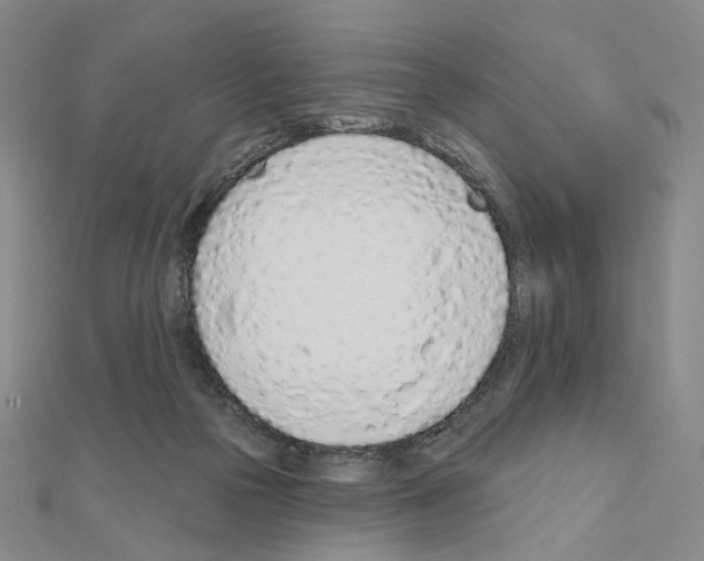 X0000110980169200907310956