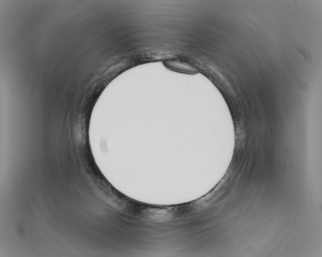X0000110980170200907310956
