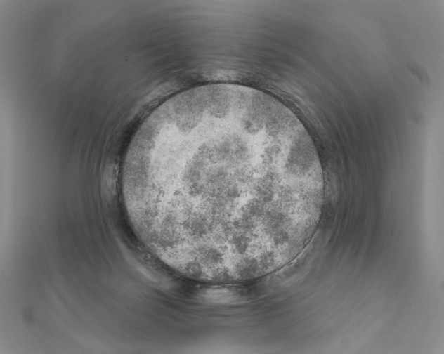 X0000110980171200907310956
