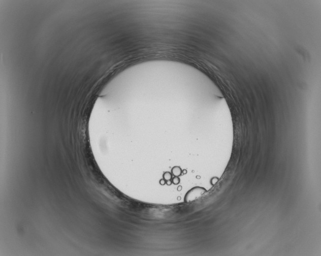 X0000110980172200907310956