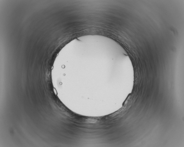 X0000110980176200907310956