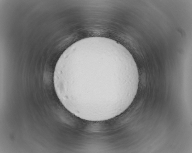 X0000110980177200907310956