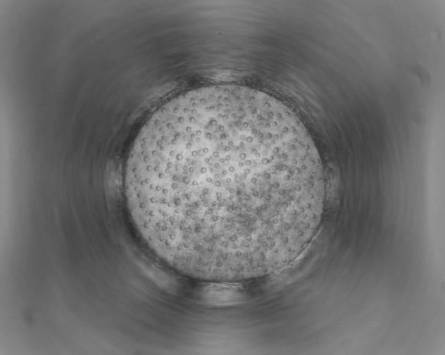 X0000110980179200907310956
