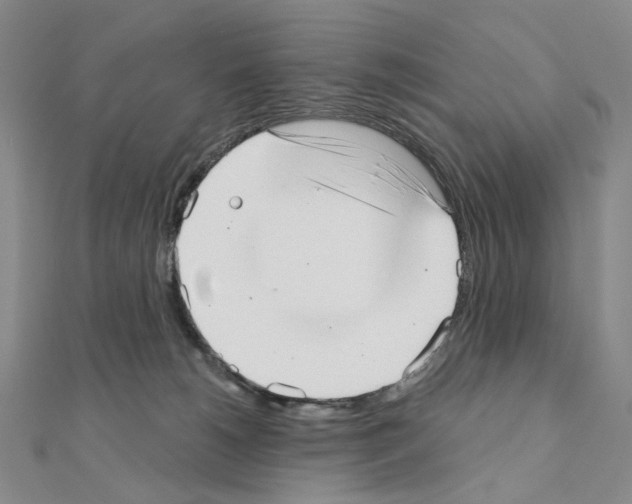 X0000110980180200907310956