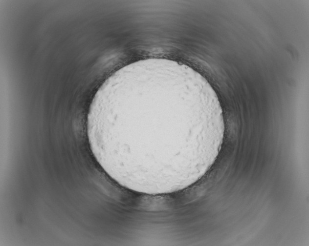 X0000110980181200907310956