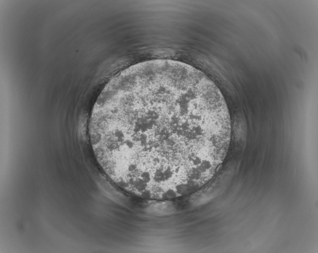 X0000110980185200907310957